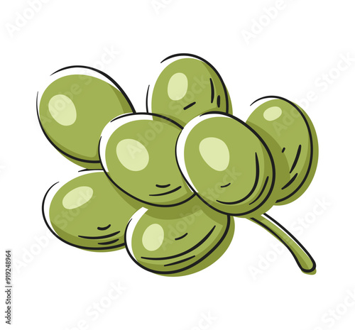Grape branch isolated on white background. Green grape icon in cartoon design. Vector illustration