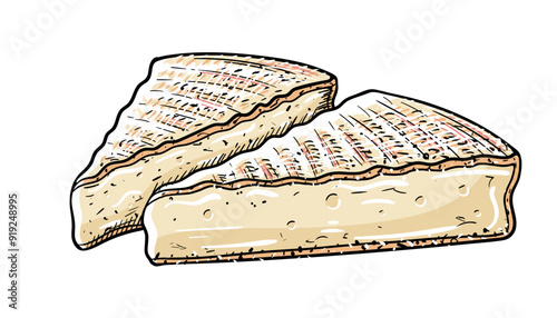 Brie cheese piece set isolated on white background. Cheese icon in cartoon design. Vector illustration
