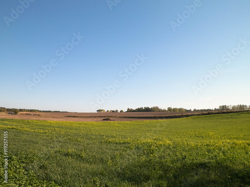 Blue sky over fields and meadows.