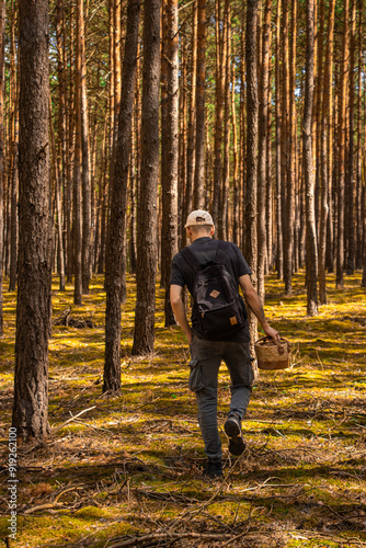 A man with a basket picking mushrooms. Mushroom picker. Mushroom picking. Autumn harvest. Man in the forest. Yellow foliage