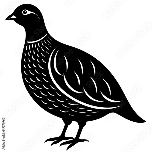 Wallpaper Mural Vector Art of a Quail - Cartoon Animal Illustration, Logo Icon, Clipart Torontodigital.ca