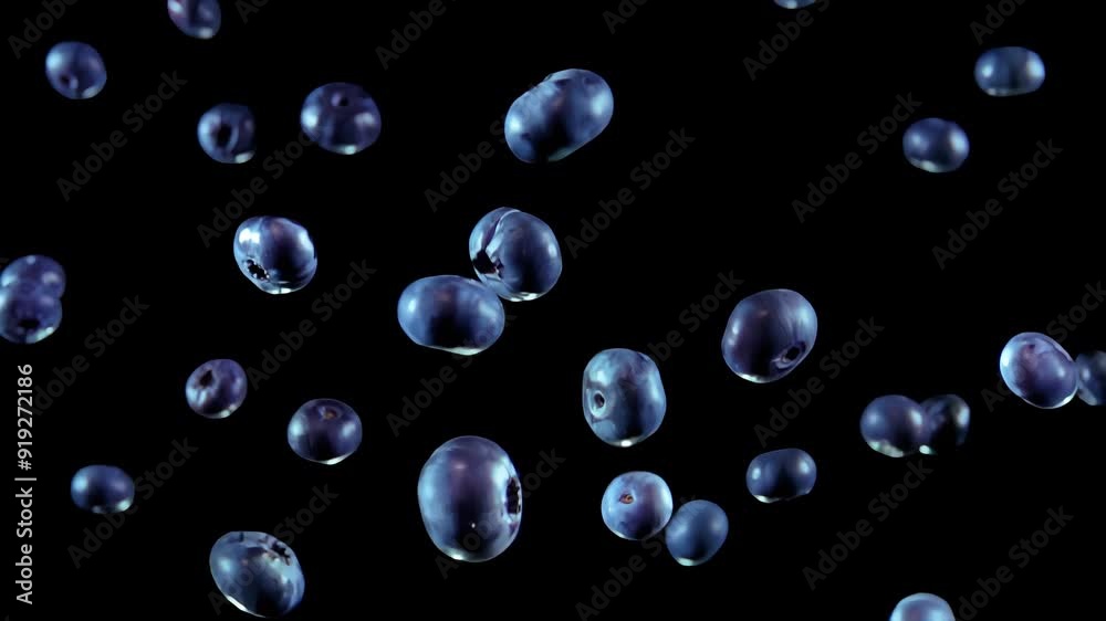 Big juicy delicious blueberries are flying up on the black background in slow motion. High quality 4k footage Big juicy delicious blueberries are flying up on the black background in slow motion. High quality 4k footage