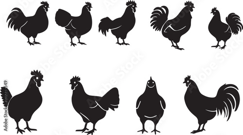Chicken   Outline Silhouette Graphics Collection