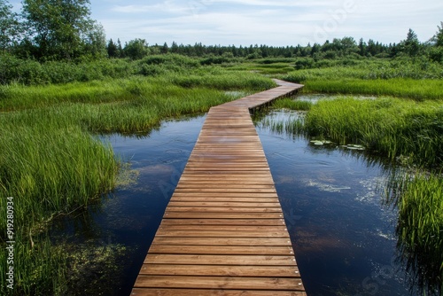 Wallpaper Mural Wetland restoration features recycled boardwalks, highlighting environmental renewal and sustainable recycling initiatives. Torontodigital.ca