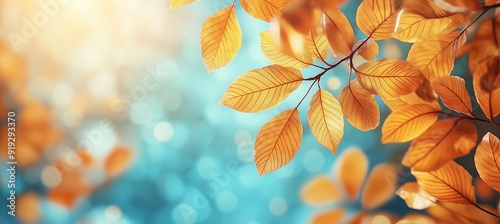 Golden Autumn Leaves with Sunlight Filtering Through, Creating a Warm and Inviting Seasonal Background with Soft Bokeh Effects