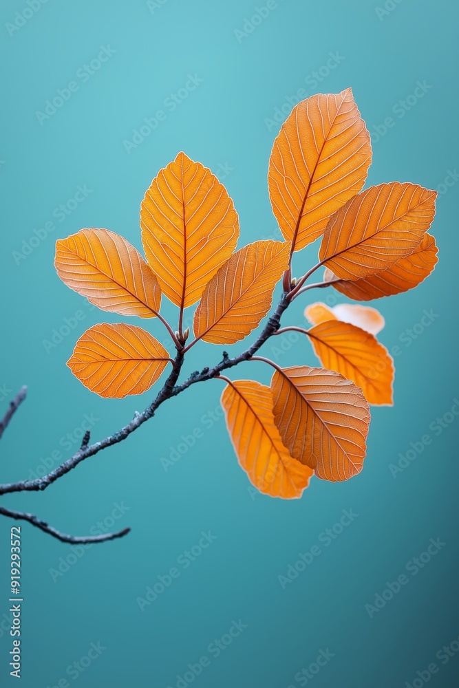 Obraz premium Golden Autumn Leaves with Sunlight Filtering Through, Creating a Warm and Inviting Seasonal Background with Soft Bokeh Effects