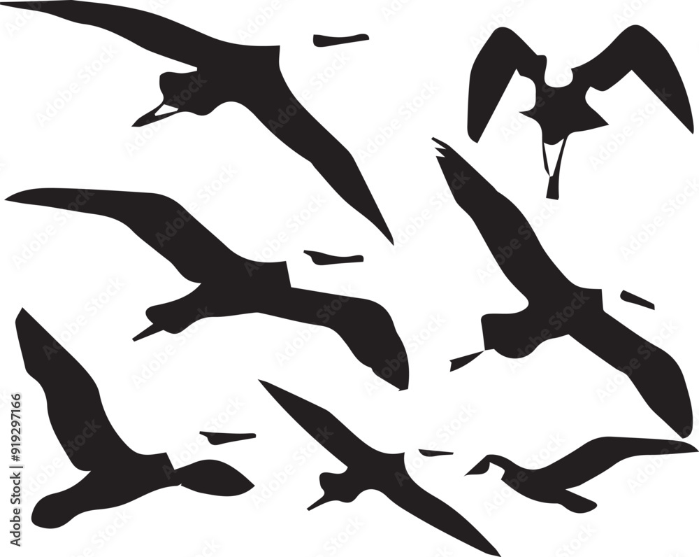 Albatross Outline Silhouette Graphics Collection Albatross Outline Silhouette Graphics Collection