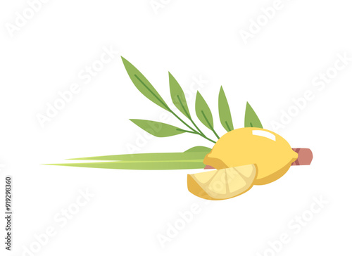 Traditional elements for the Jewish holiday of Sukkot.