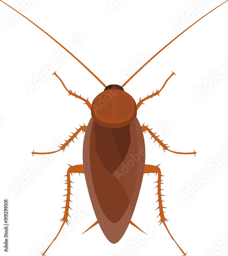 cockroach