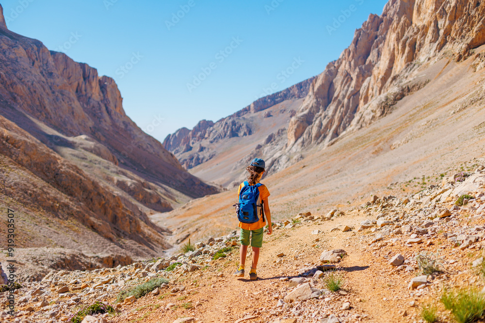 summer camp. boy with a backpack. child travels in the mountains with a backpack. summer hike in the high mountains. summer camp. boy with a backpack. child travels in the mountains with a backpack. summer hike in the high mountains.
