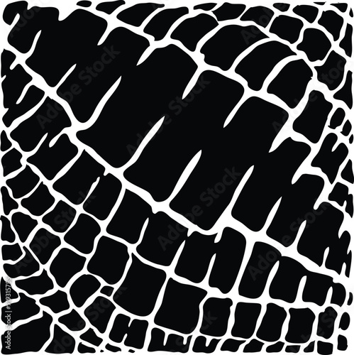 vector of crocodile skin pattern in black and white seamless
