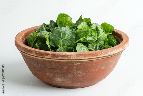 Fresh green and purple lettuce leaves in a rustic clay bowl. photo