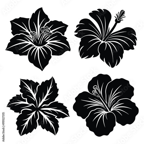 Vector set of black silhouettes of tropical hibiscus flowers isolated on a white background