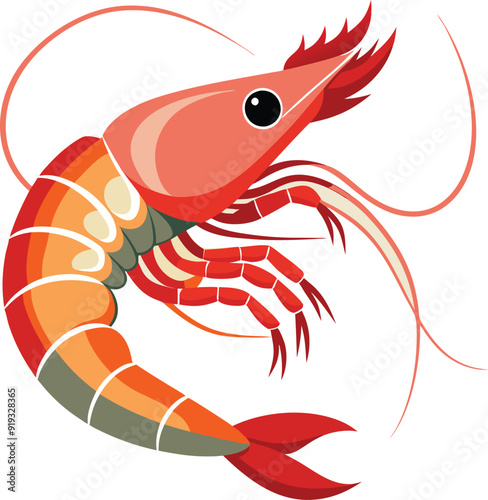 illustration of a shrimp