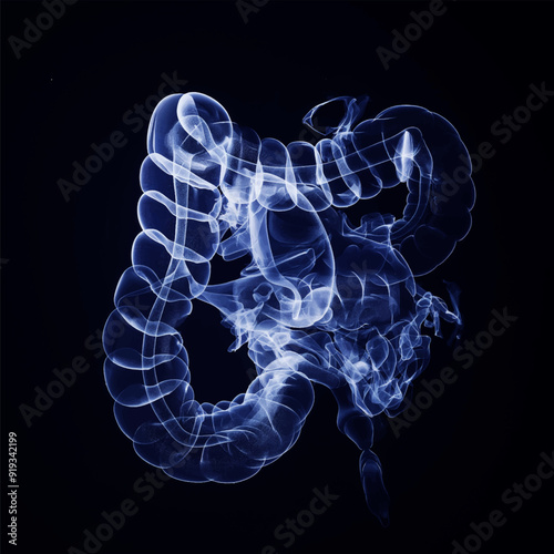 Humen colon x-ray film on a dark blue background