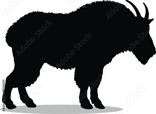 Mountain goat Silhouette, Mountain goat Vector Silhouette, Mountain goat cartoon Silhouette, Mountain goat illustration, Mountain goat icon Silhouette, Mountain goat Silhouette illustration