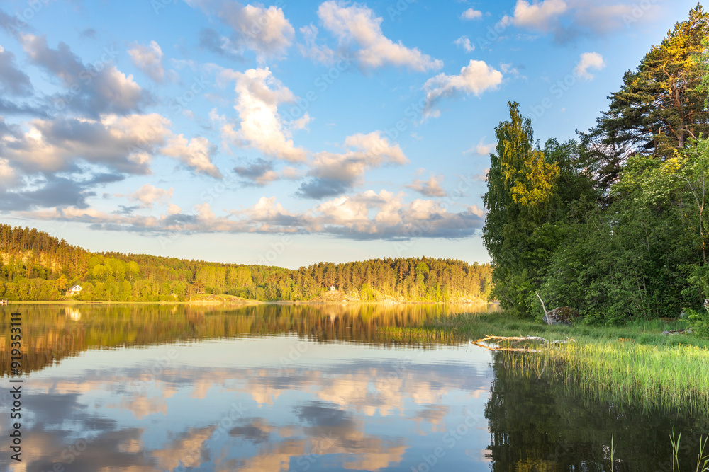 A lake with a cloudy sky in the background A lake with a cloudy sky in the background