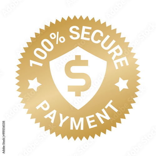 100% Secure Payment | icon | vector