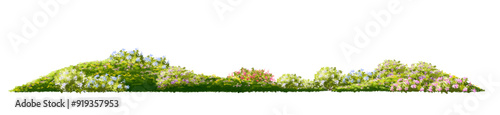 Vertor set of spring blossom tree,blooming plants side view for landscape elevation and section,eco environment concept design,watercolor illustration,colorful season