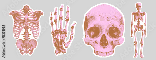 Human skeleton, skull, hand. Monochrome halftone collage elements in retro bitmap style for scrapbook, poster art or t-shirt. Cutout dotted stickers with grain texture.