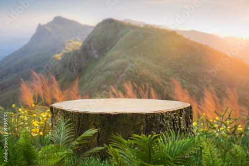 Surreal wood podium table top on grass with warm light mountain nature landscape background .Cosmetic beauty product placement pedestal wooden stand display,tropical forest dreamy concept.