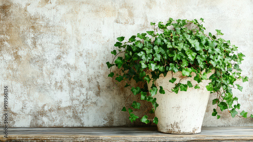A potted plant sits on a shelf next to a wall
