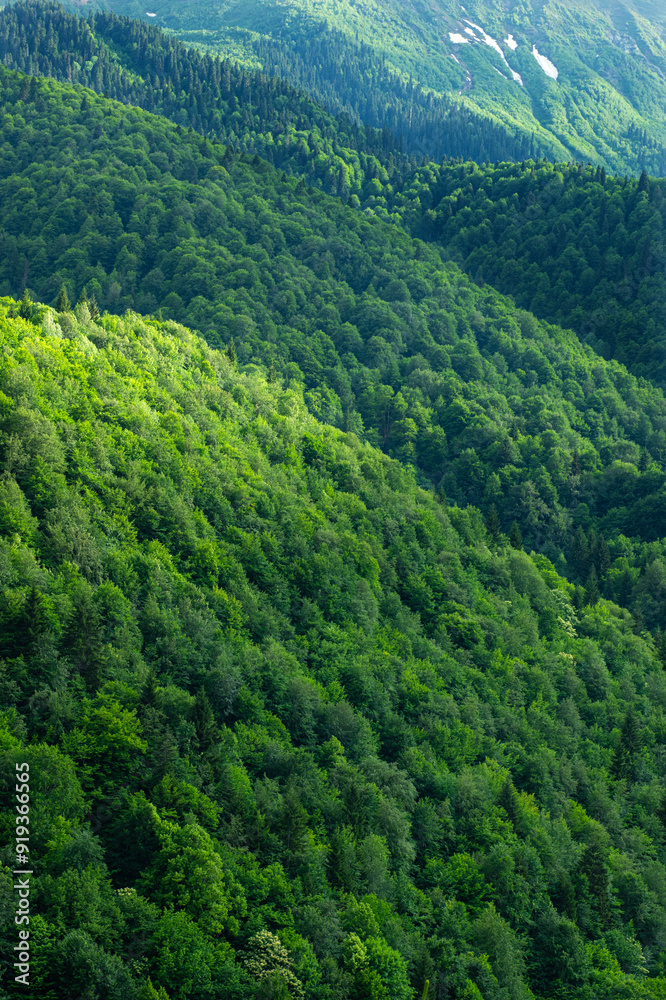 Fototapeta premium Georgia trekking routes. Magnificent Georgian mountains. Snowy and green mountains of Georgia. Svaneti mountains. Mountain landscapes in bloom in spring.