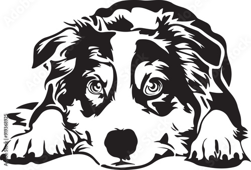 Australian Shepherd Dog Lying Down Stylized Vector