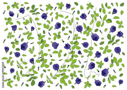 butterfly pea flower design creative and pattern background illustration vector 
