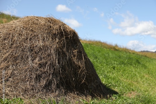 Pile of hay on field on sunny day. Space for text