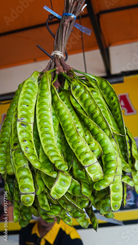 фотографія Raw of petai or pete (Parkia speciosa)