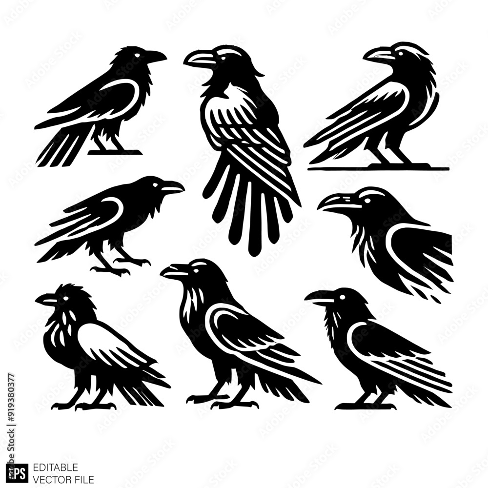 Obraz premium set of raven Graphic Design Elements Vector Silhouette Clip Art Black and White Illustrations