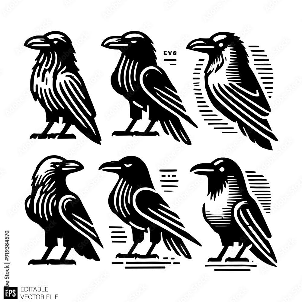 Naklejka premium set of raven Clip Art Black and White Illustrations Graphic Design Elements Vector Silhouette