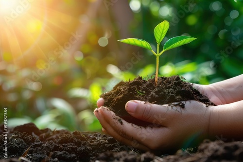 Wallpaper Mural Hand holding a tree seedling with moss, symbolizing Earth Day and environmental protection. Torontodigital.ca
