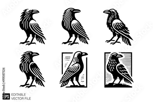 set of raven Clip Art Black and White  Illustrations Graphic Design Elements Vector Silhouette