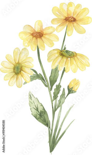 Watercolor yellow gold-marigold flower bouquet illustration, meadow flowers arrangement clipart