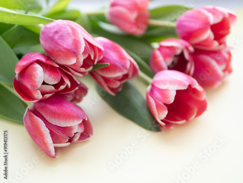Bouquet of tulips on a light background, top view