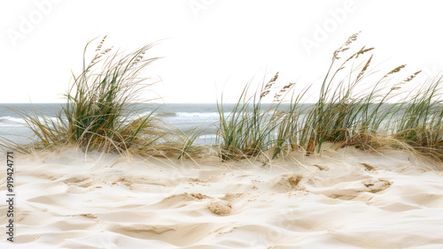 Fototapeta Naklejka Na Ścianę i Meble -  PNG Serene coastal dune scene