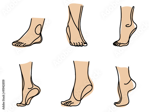 Line feet. Woman ankles and legs with heels and fingers. Beauty or medicine human body infographic elements. Spa skin care and pedicure. Naked foot soles. Vector barefoot sketches set.