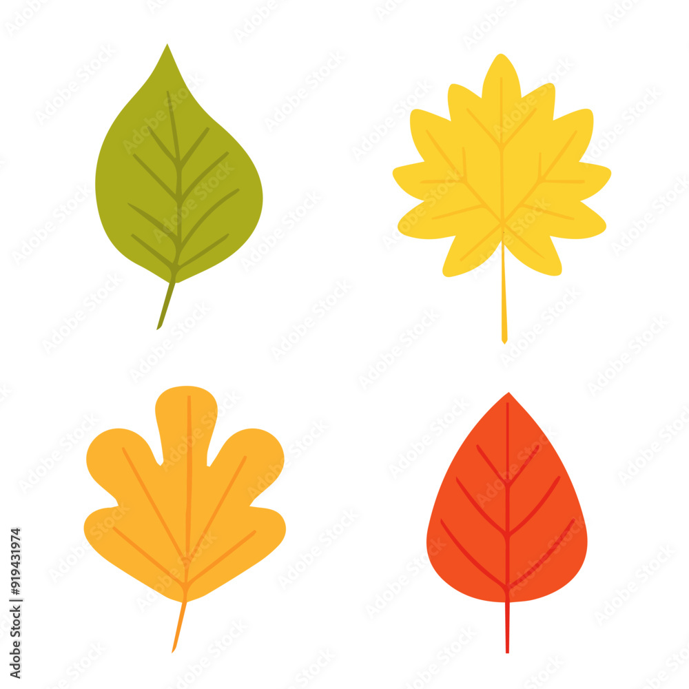 Set of colored autumn leaves isolated on white background.Vector illustration. Set of colored autumn leaves isolated on white background.Vector illustration.