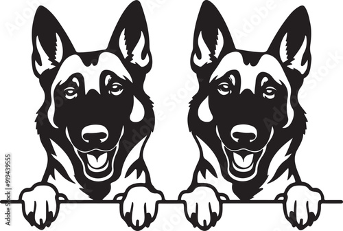 Belgian Malinois Dogs Peeking Vector Illustration