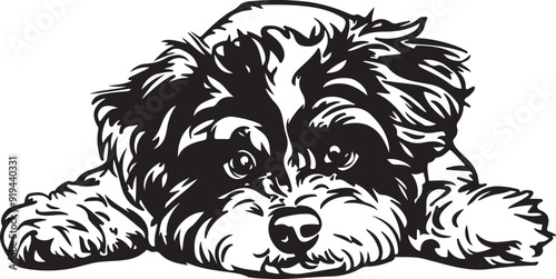 Bichon Frise Dog Lying Down Stylized Vector