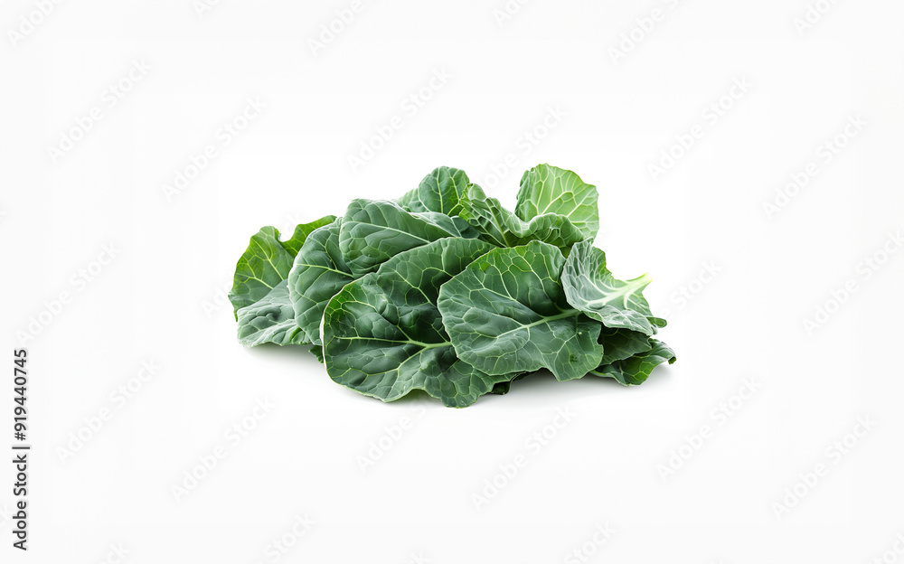 Fresh Leafy Collard Greens on White Background Fresh Leafy Collard Greens on White Background