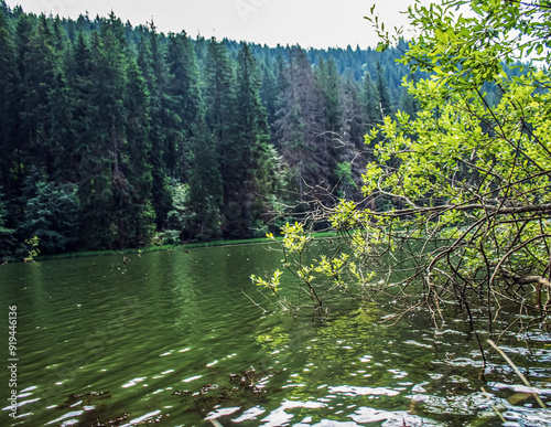 Bikaz Gorge and Lakul Roshu (Red Lake) - Eastern Carpathians - Romania - Europe photo