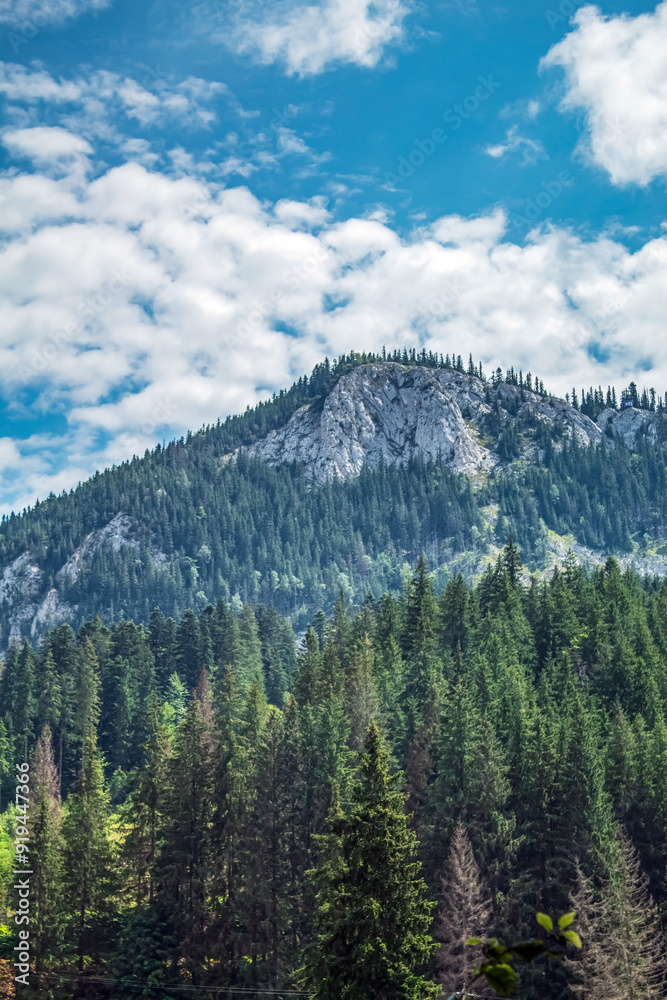 Fototapeta premium Bikaz Gorge and Lakul Roshu (Red Lake) - Eastern Carpathians - Romania - Europe