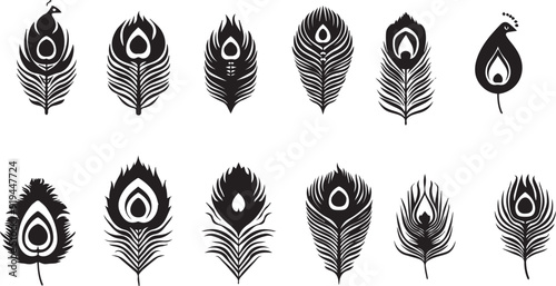 Modern Peacock Feather Black Silhouette Design Elements