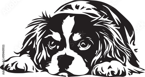 Cavalier King Charles Spaniel Lying Down Stylized Vector