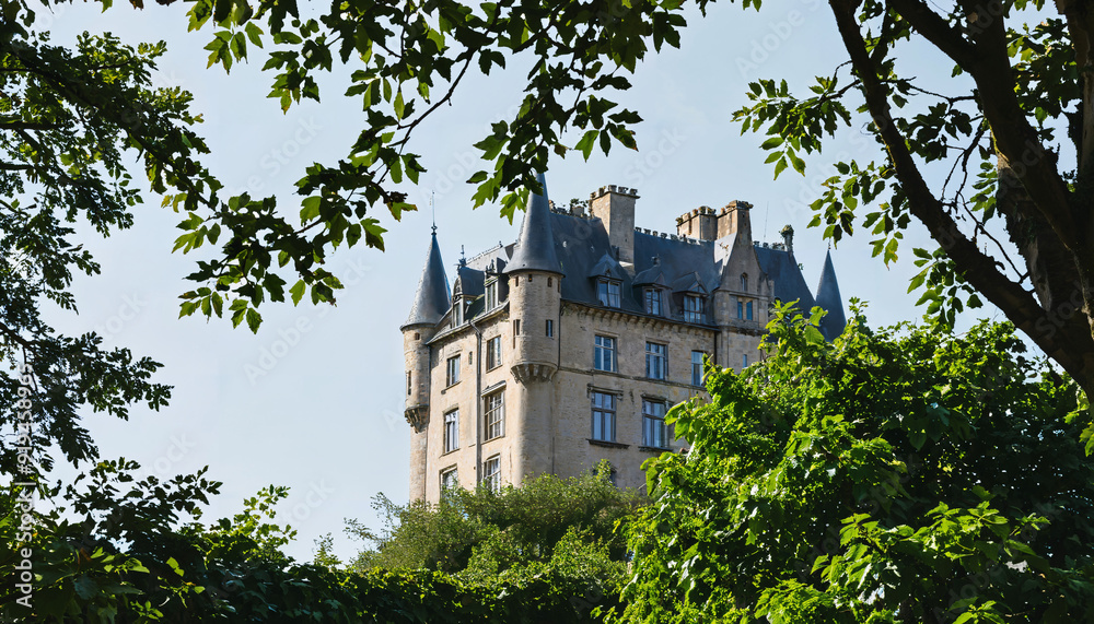 Fototapeta premium Château majestueux entouré de verdure