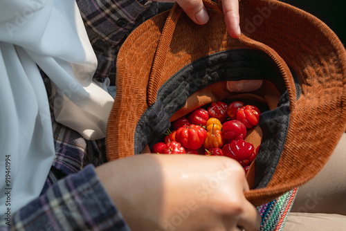 showing a freshly picked ripe brazilian cherry placed in a hat photo