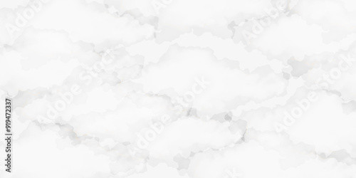 Marble granite white background wall surface black pattern graphic abstract light elegant gray for do floor ceramic counter texture stone slab smooth tile silver natural for interior decoration.